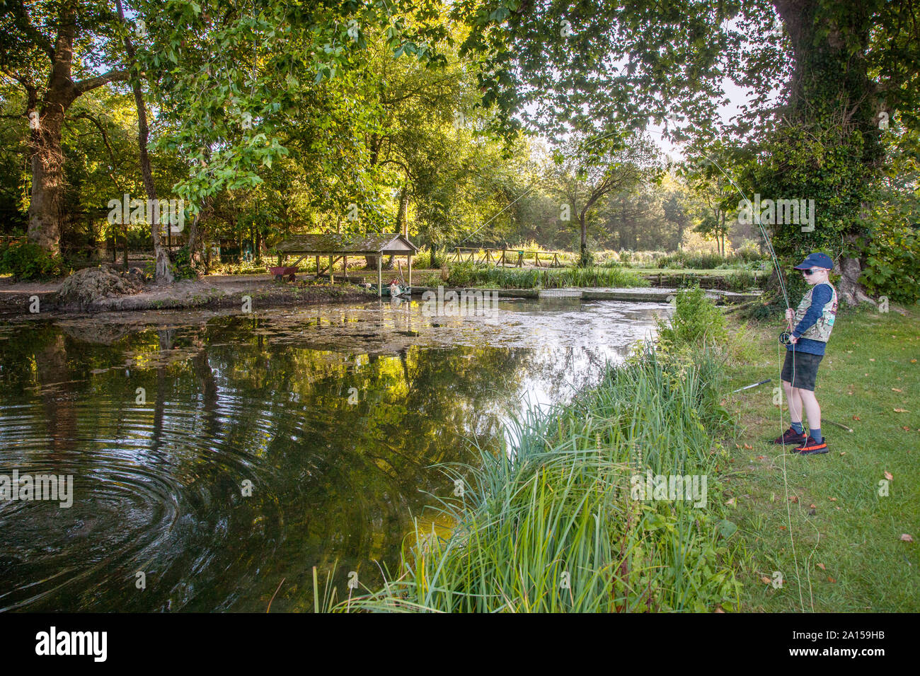 Boy fly fishing at Avington Trout Fishery, Winchester, Hampshire