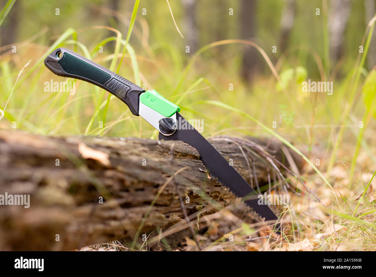 Folding portable handsaw ready for use in forest Stock Photo