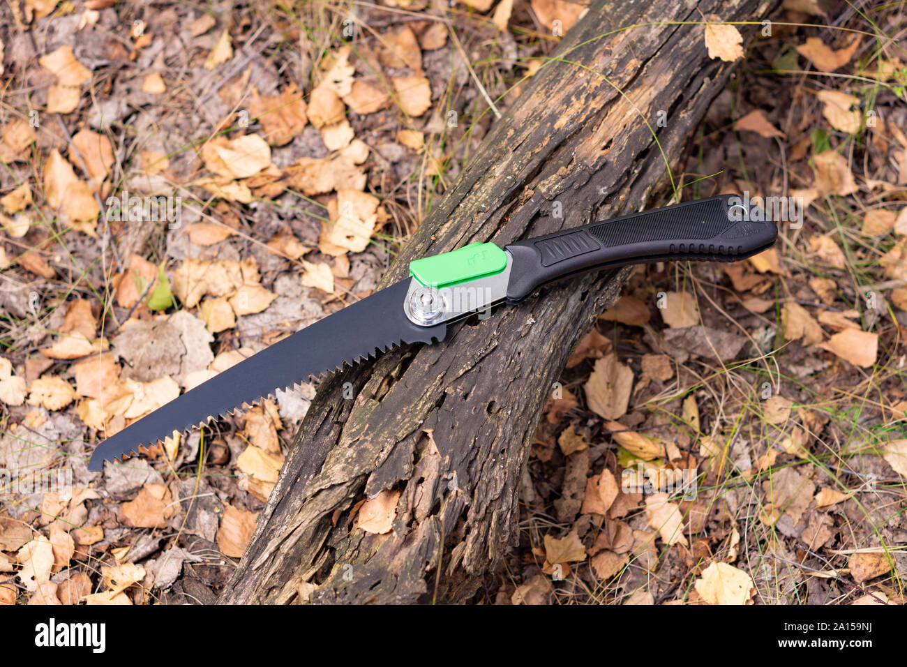 Folding portable handsaw on forest background Stock Photo