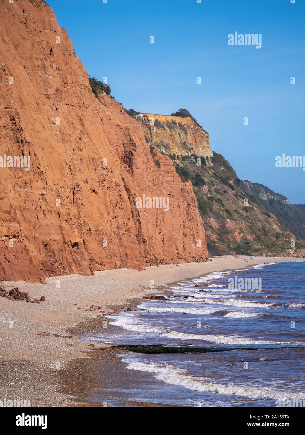 The famous Jurassic Coast red cliffs at Sidmouth, Devon, England. Looking East from Sidmouth Beach to Salcombe Hill Cliff. Vertical shot. Stock Photo