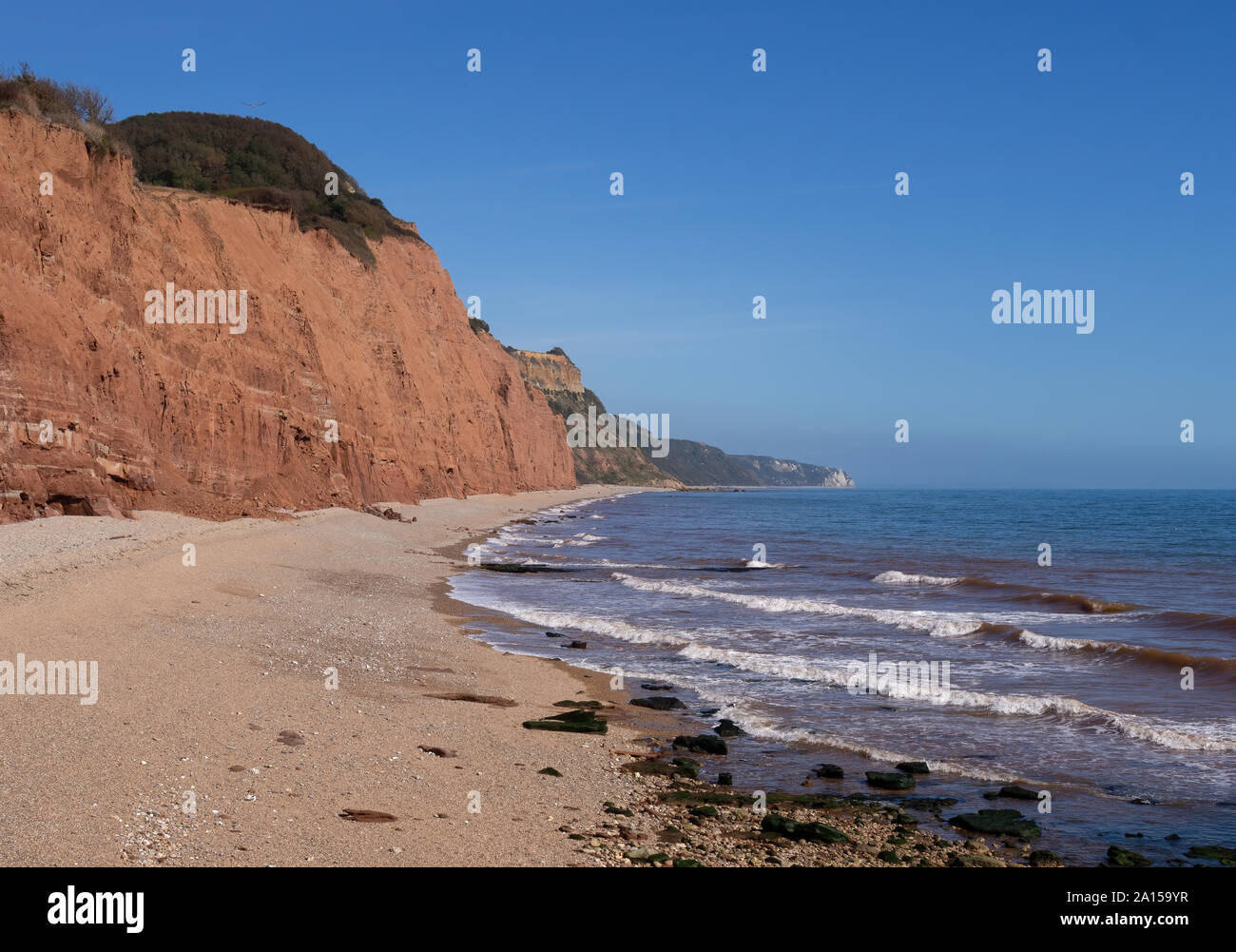 The famous Jurassic Coast red cliffs at Sidmouth, Devon, England. Looking East from Sidmouth Beach. No people. Stock Photo