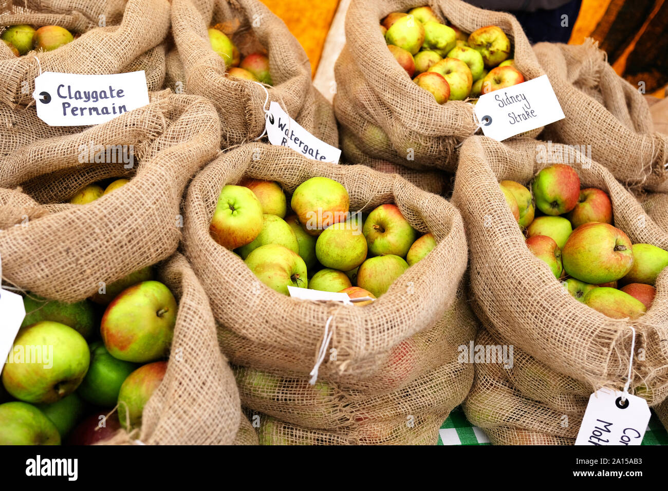Hessian sacks full of rare varieties of apples - John Gollop Stock Photo