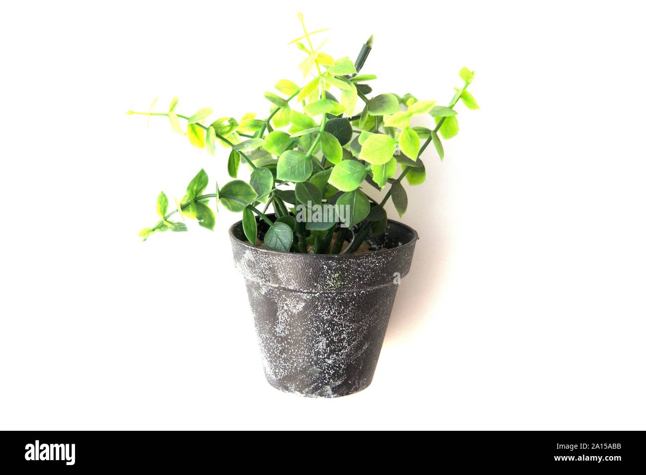 Potted plastic plants and flowers for decorations. Container made of aluminium, plastic, ceramic as well as clay. Plants include Cactus, cacti, beauti Stock Photo