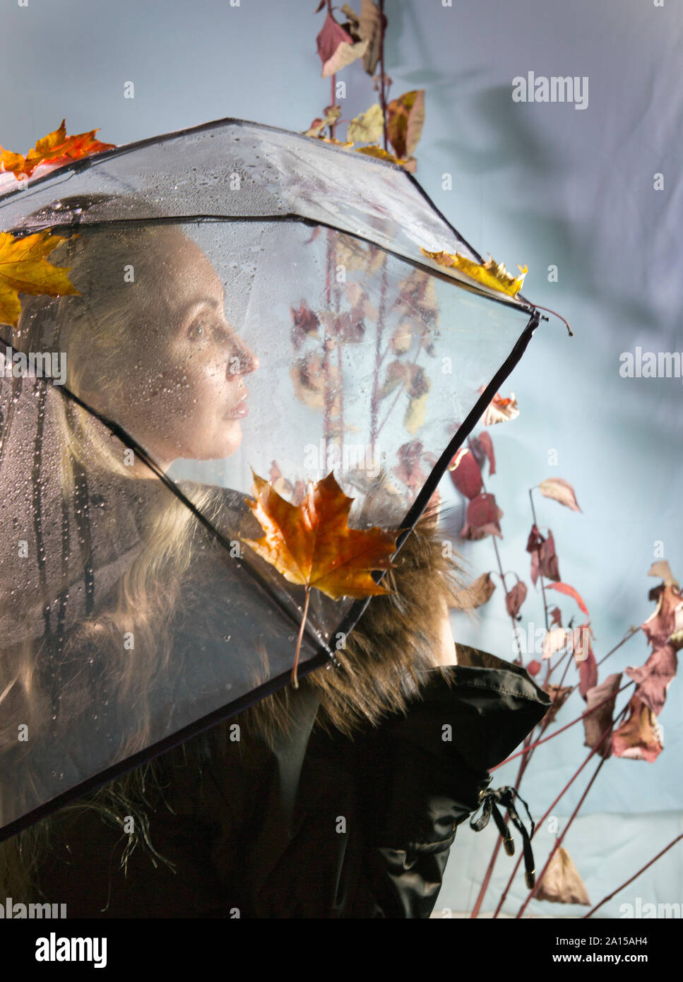 woman under a transparent umbrella with autumn leaves Stock Photo - Alamy