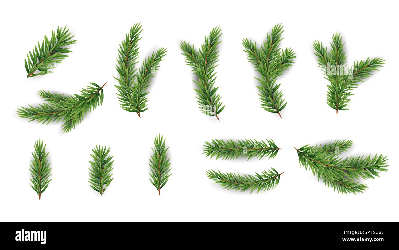 Collection Set of Realistic Fir Branches for Christmas Tree, Pine ...