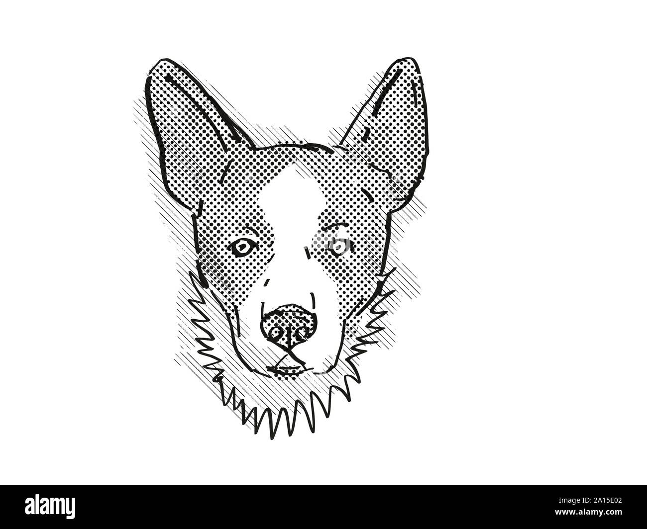 Retro cartoon style drawing of head of a Cardigan Welsh Corgi dog , a domestic dog or canine breed on isolated white background done in black and whit Stock Photo