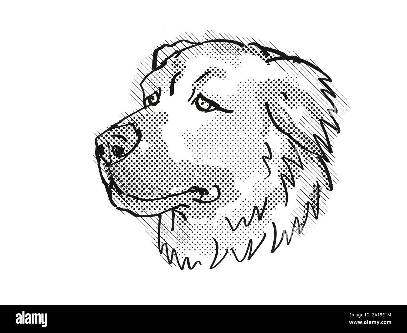 Retro cartoon style drawing of head of a Caucasian Shepherd Dog .  Caucasian Mountain Dogs, Russian Bear Dogs, Baskhan Pariy, Caucasian  Ovcharka D Stock Photo - Alamy
