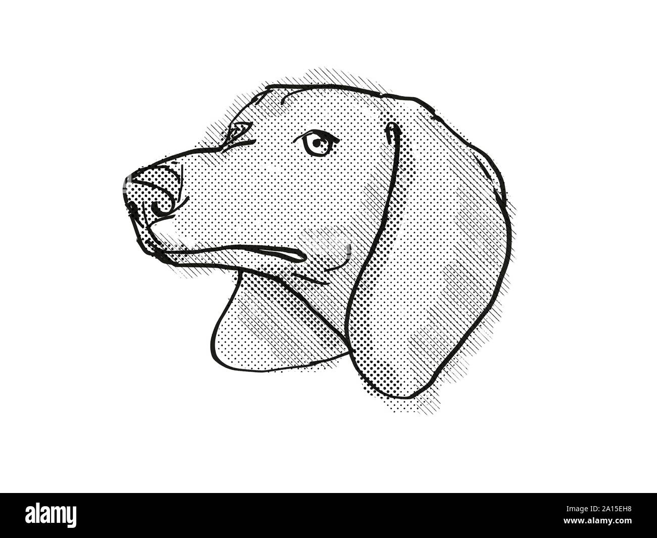 Retro Cartoon Style Drawing Of Head Of A Dachshund A