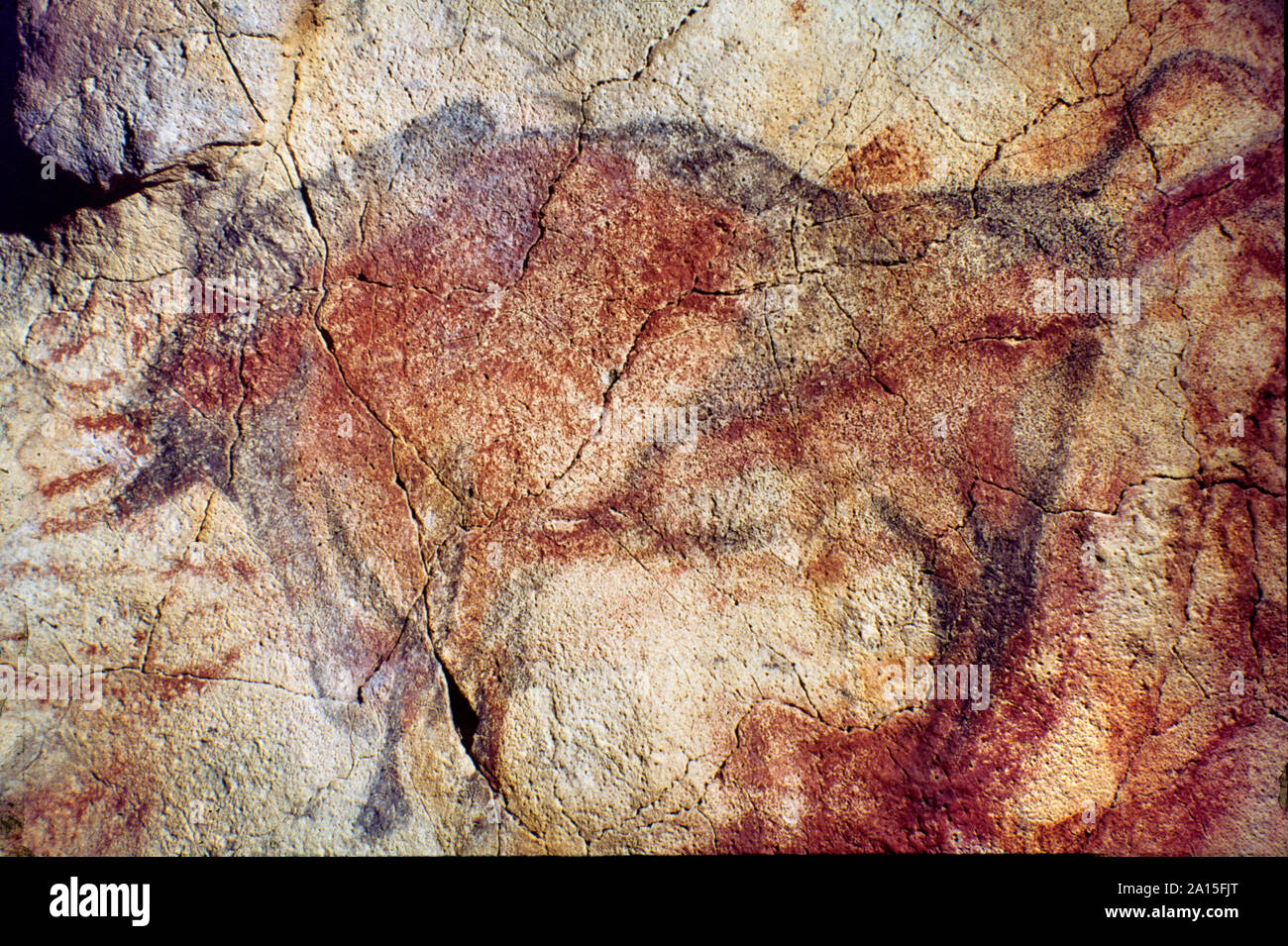 Bison, Altamira cave painting. Magdalenian period, 15000-12000 BC Spain Stock Photo
