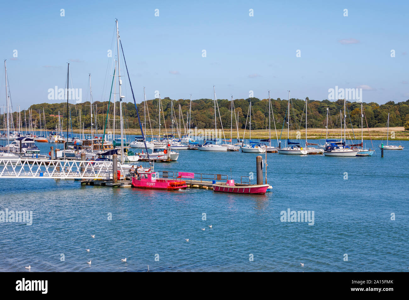 The small bright pink livery vintage Hamble to Warsash passenger ferry which crosses the River Hamble as it joins the Solent, south coast England, UK Stock Photo