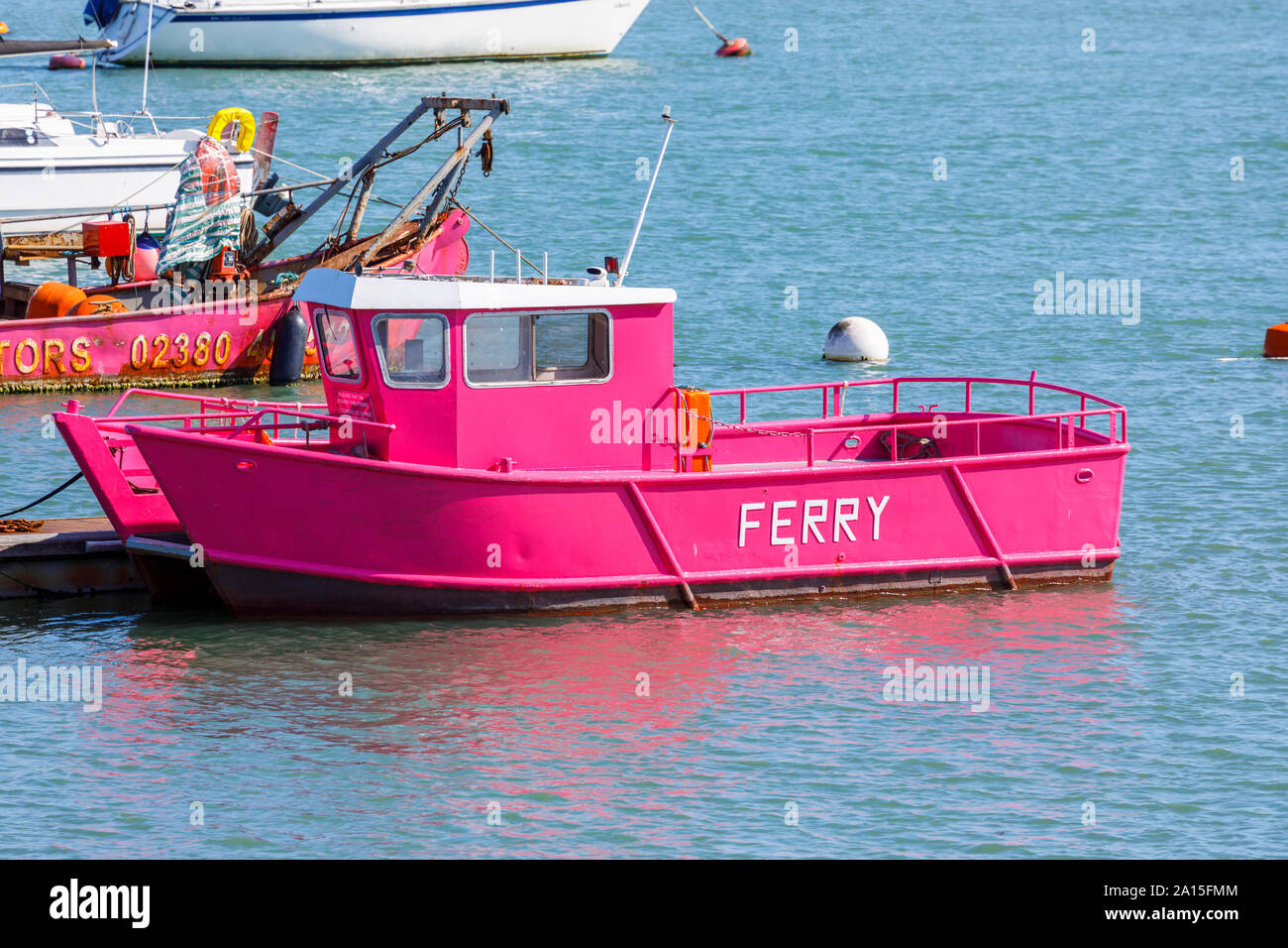 The small bright pink livery vintage Hamble to Warsash passenger ferry which crosses the River Hamble as it joins the Solent, south coast England, UK Stock Photo
