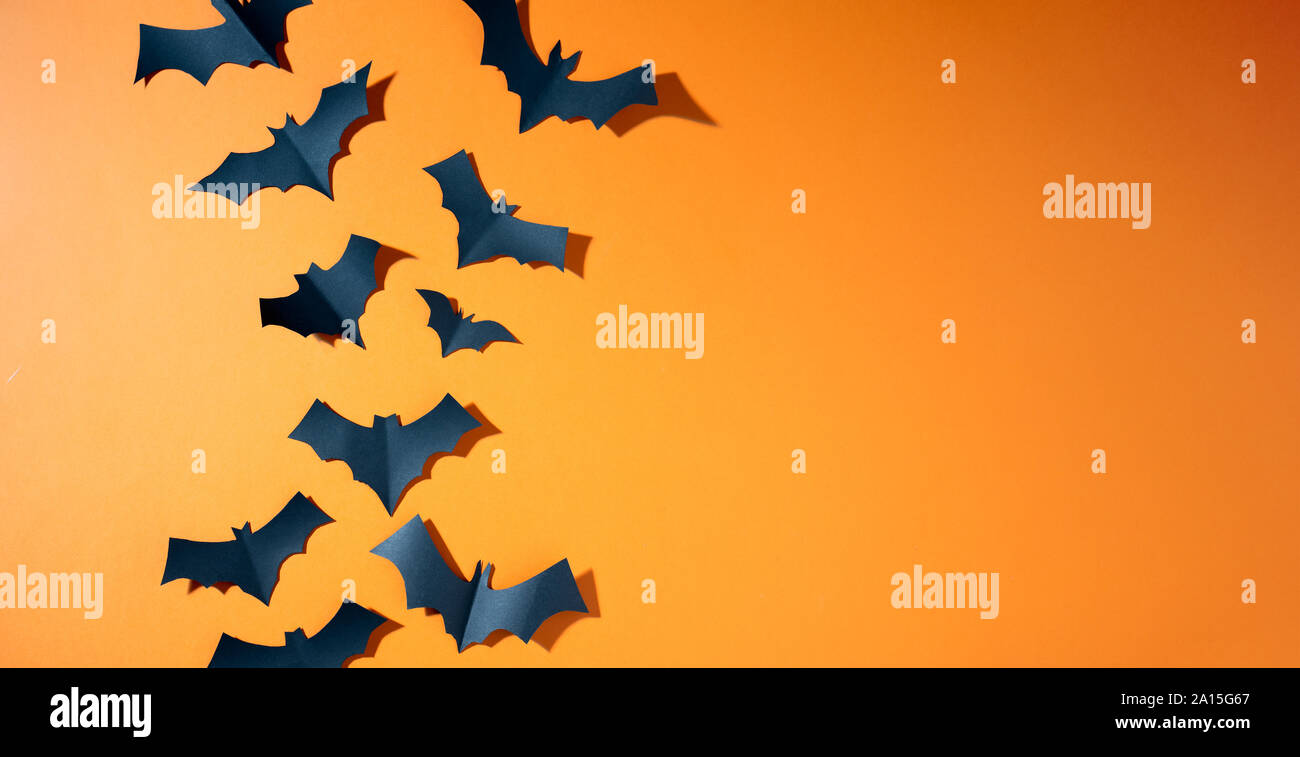 Halloween photo of black bats flying up on blank orange background ...