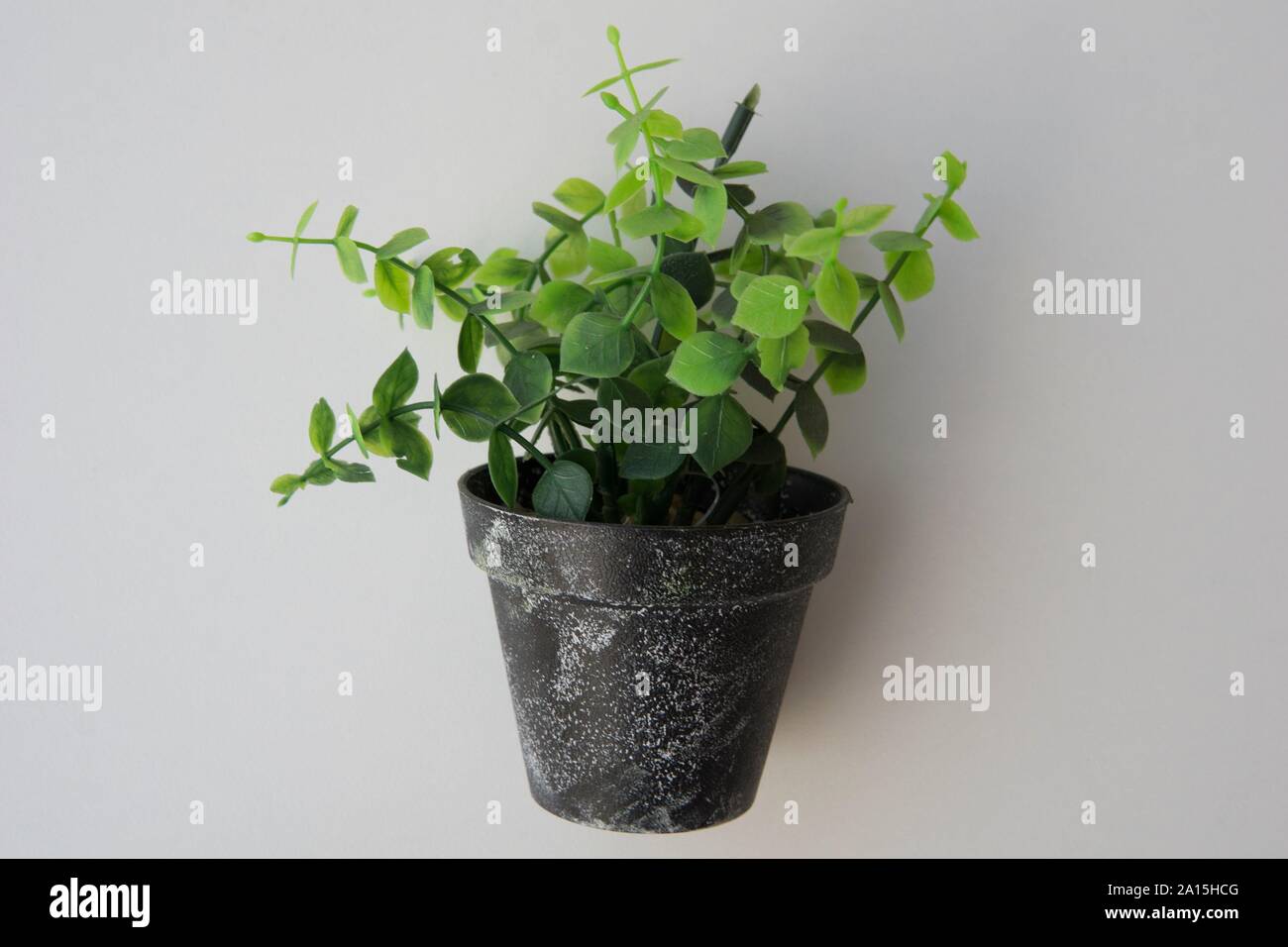 Potted plastic plants and flowers for decorations. Container made of aluminium, plastic, ceramic as well as clay. Plants include Cactus, cacti, beauti Stock Photo
