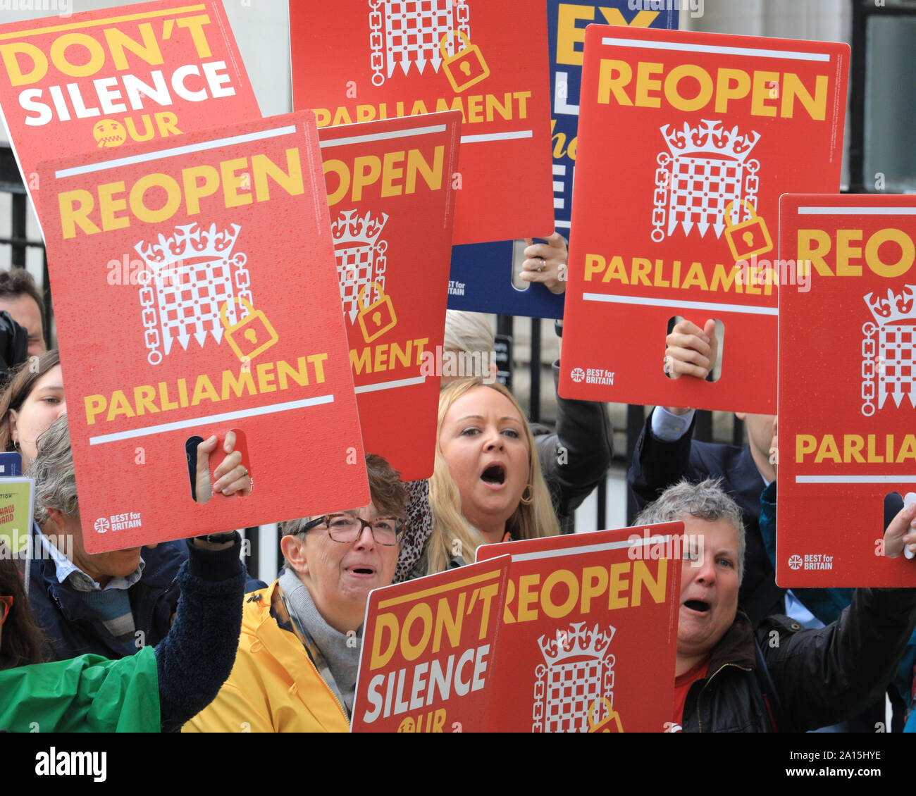 Westminster, London, UK. 24th Sep, 2019. Protesters celebrate. The Supreme Court case ruling on the suspension of Parliament by the Prime Minister is announced at the court in Westminster this morning - the ruling outcome was against the government, judges found unanimously that that prorogation was illegal. Credit: Imageplotter/Alamy Live News Stock Photo