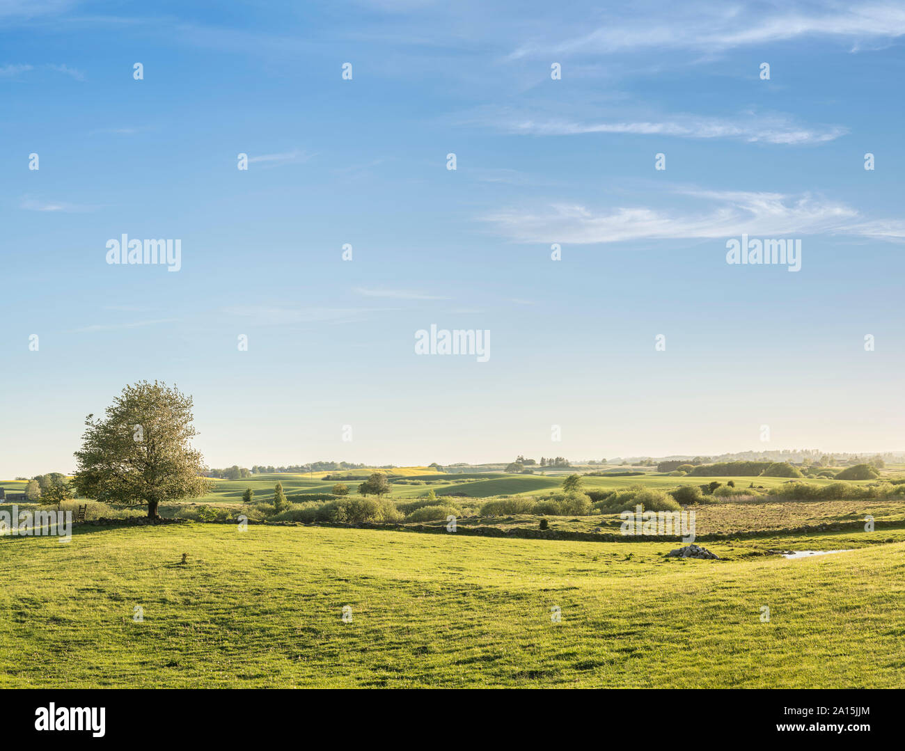 Rural nature landscape hi-res stock photography and images - Alamy