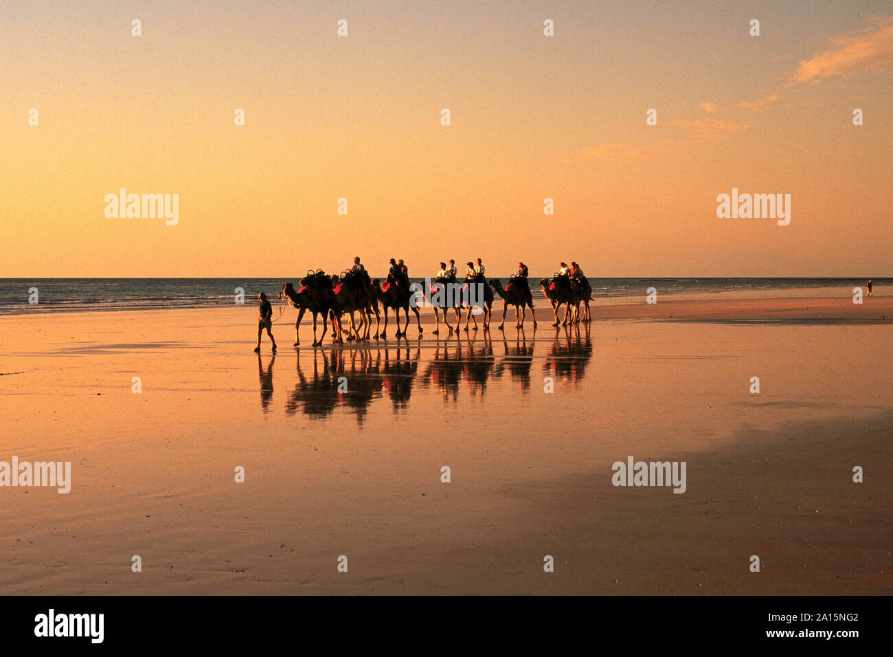 Australia, Western Australia, Kimberley Region, Broome, Tourist camel train on Cable Beach at sunset,    Photo © Fabio Mazzarella/Sintesi/Alamy Stock Stock Photo