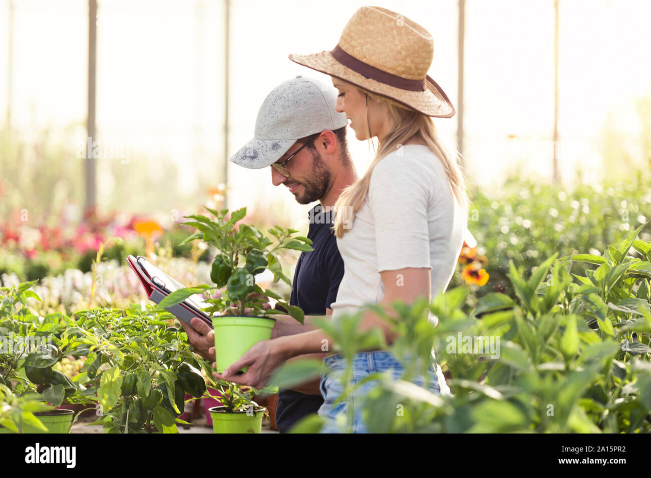 Young woman and man working with tablet in a greenhouse Stock Photo