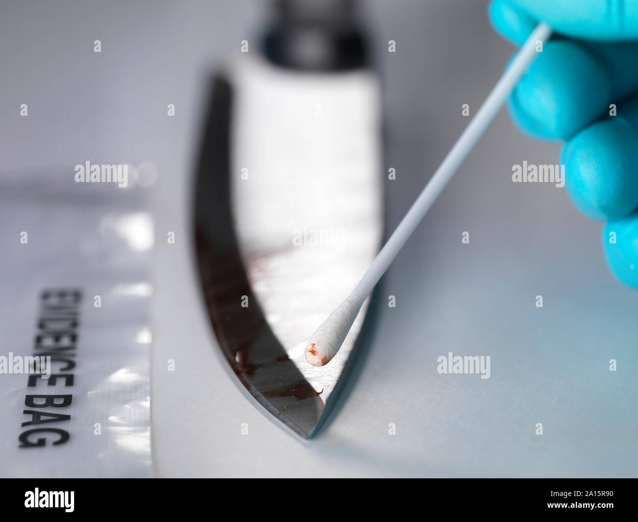 Forensic scientist taking DNA evidence from a blood smeared knife Stock Photo