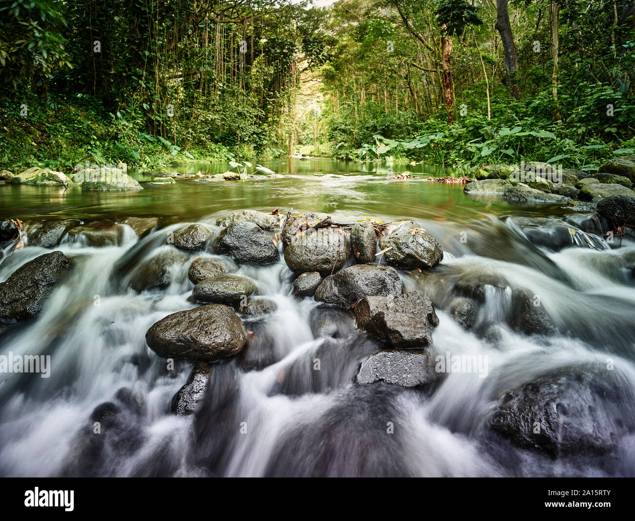 River flowing through rocks in rainforest at Waipio Valley Stock Photo