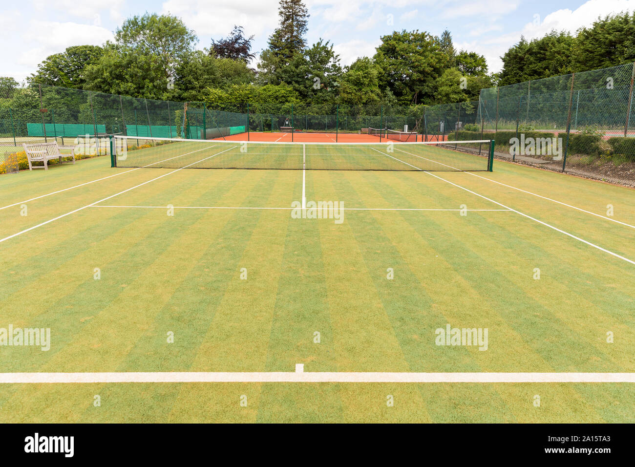 Tennis net and single line markings in empty court against trees Stock Photo