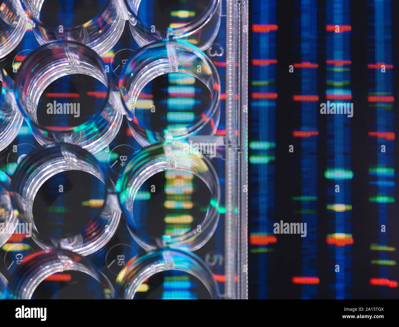 DNA Research, Samples of DNA in a multi well plate ready for analysis with DNA results in the background Stock Photo