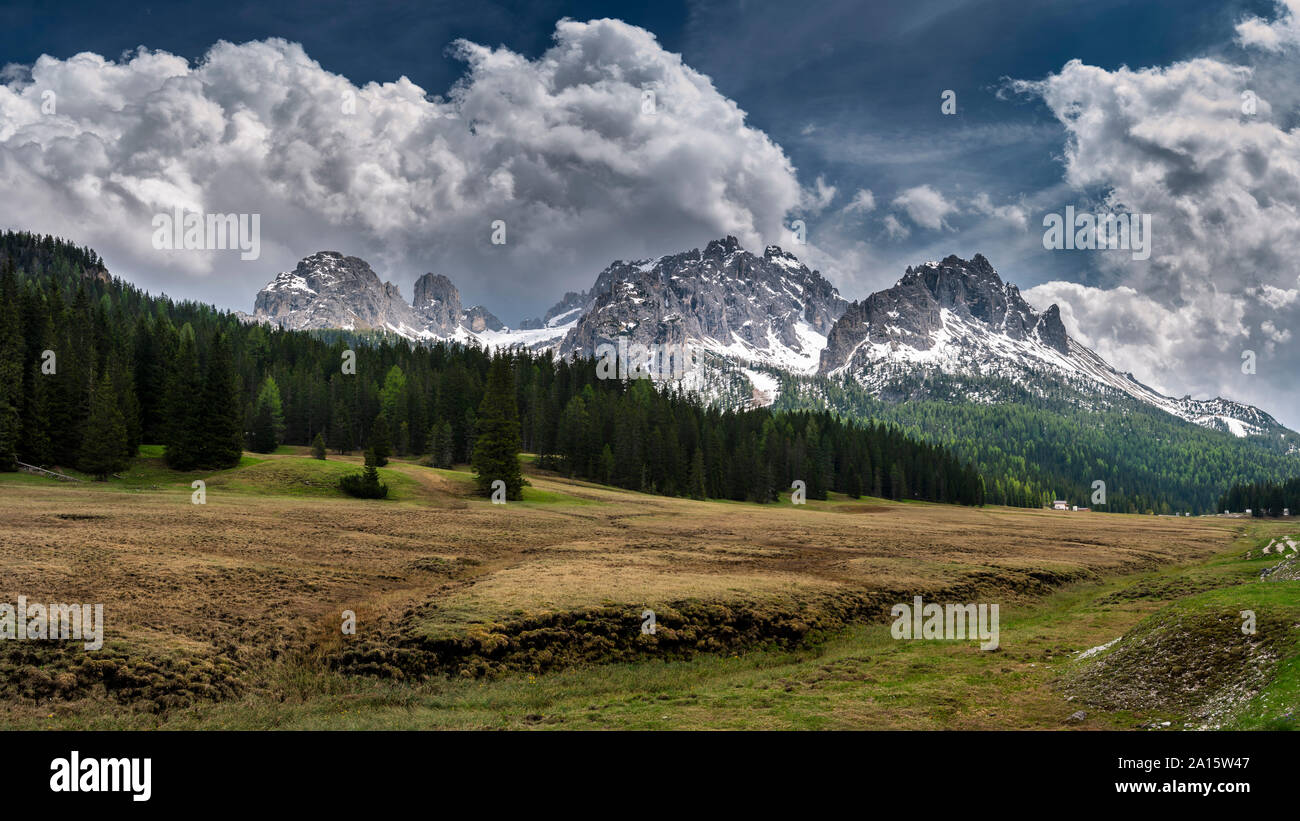 Forest in front of Elferkofel and Sextener Rotwand mountains, South Tyrol, Italy Stock Photo