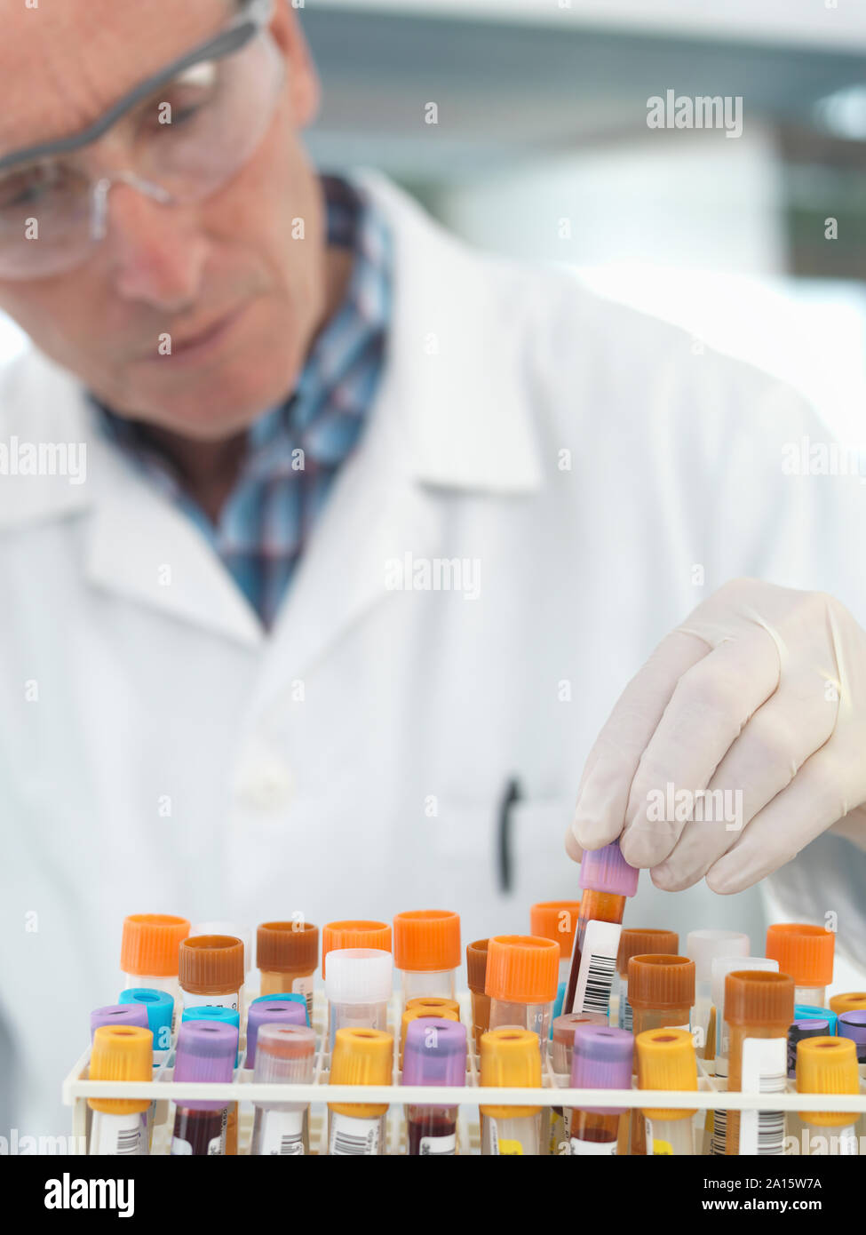 Medical technican checking blood samples in lab Stock Photo