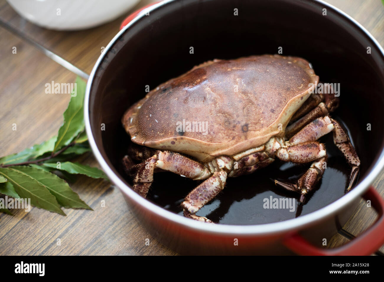 Crab prepared for cooking in pot Stock Photo Alamy