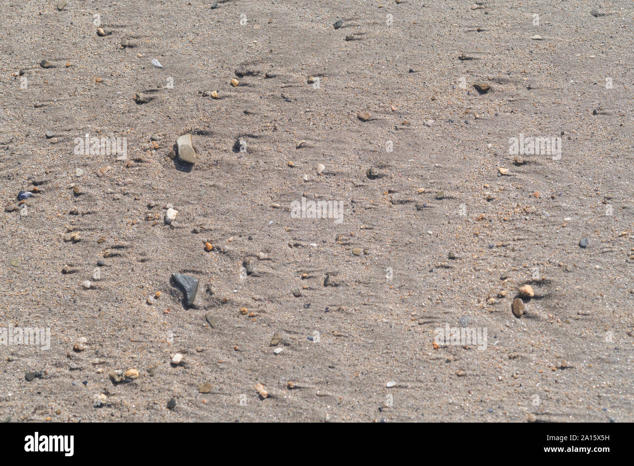 Wet shoreline sand and pebbles left behind as the tide recedes. Stock Photo