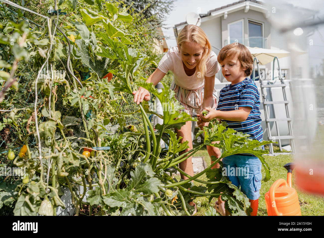 Mother and son caring for vegetable in garden Stock Photo