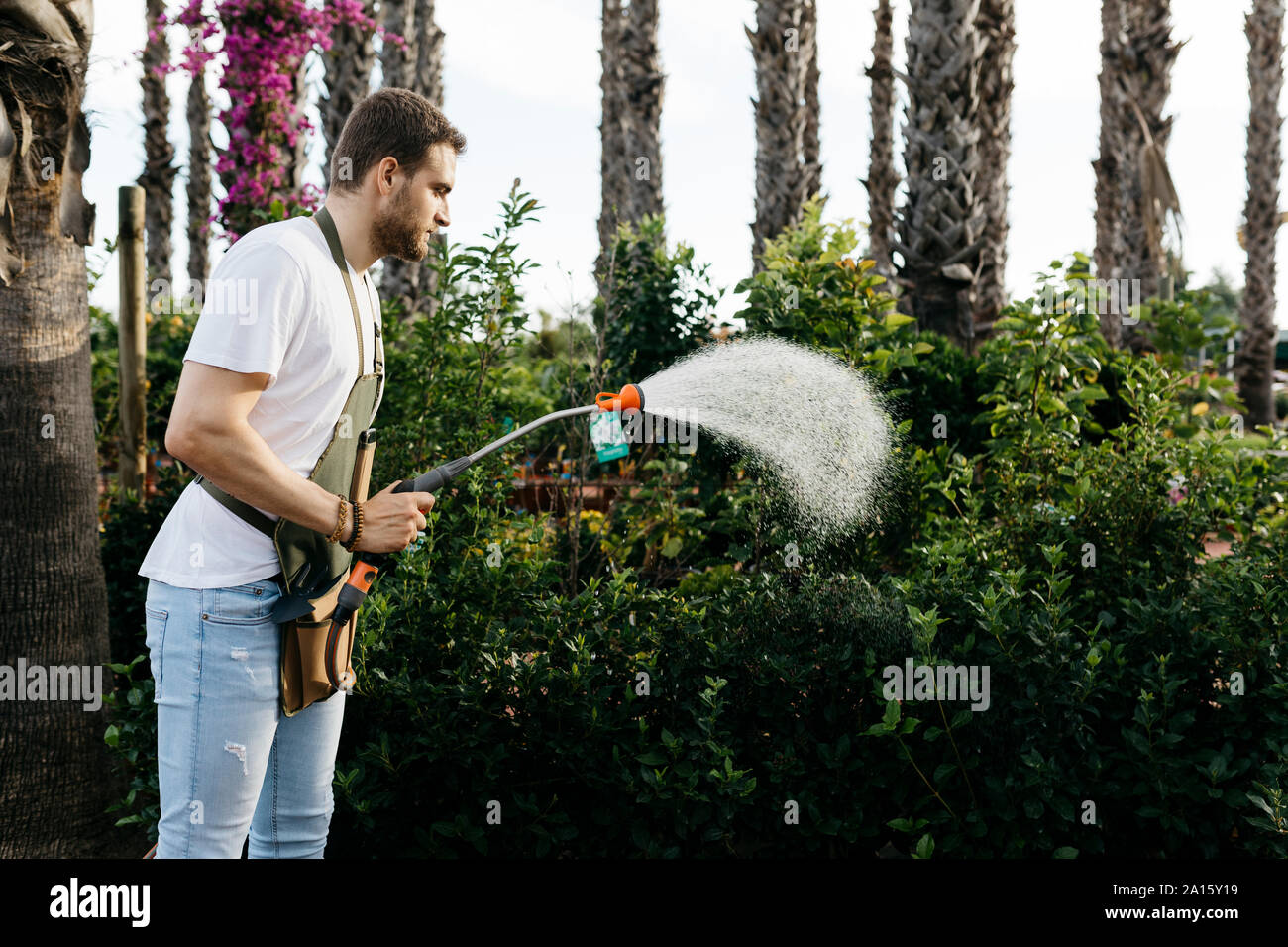 Worker of a garden center watering the plants Stock Photo