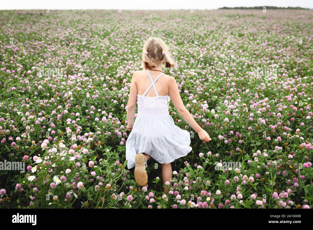 Rear view of a girl with braids running on clover field Stock Photo