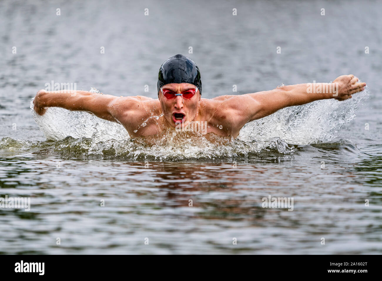 Young triathlete swimming in a lake Stock Photo
