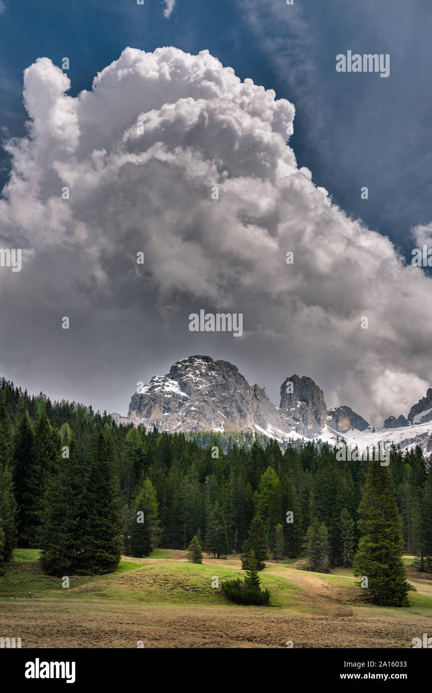 Forest in front of Elferkofel and Sextener Rotwand mountains, South Tyrol, Italy Stock Photo