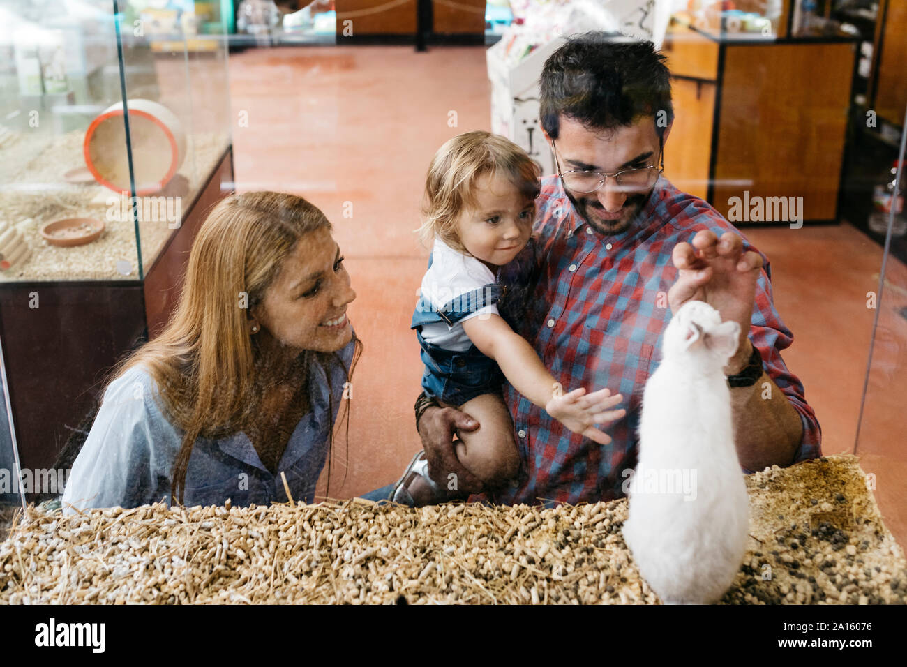 Buying a rabbit hi-res stock photography and images - Alamy