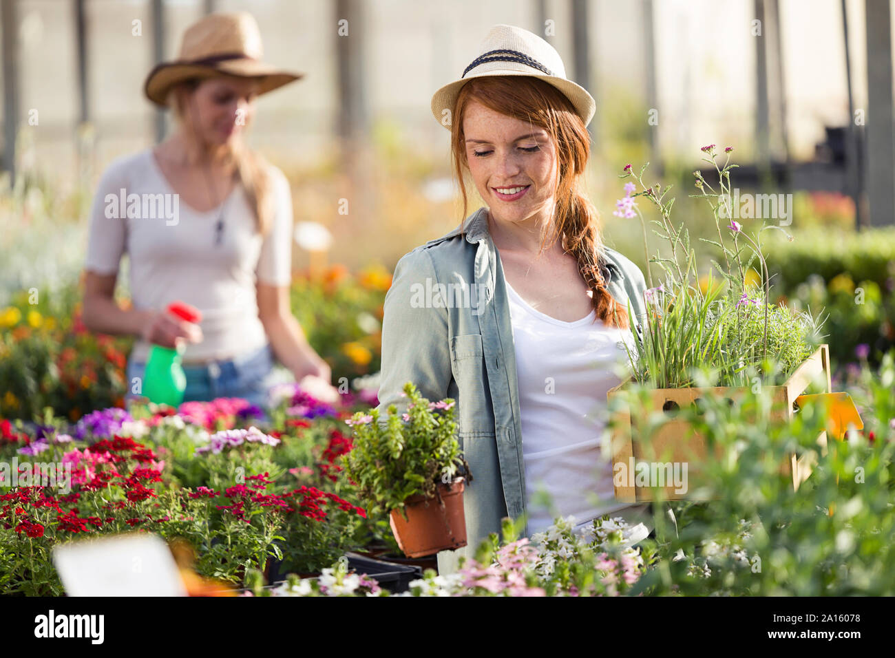 Beautiful young woman taking care of plants and flowers in the greenhouse Stock Photo