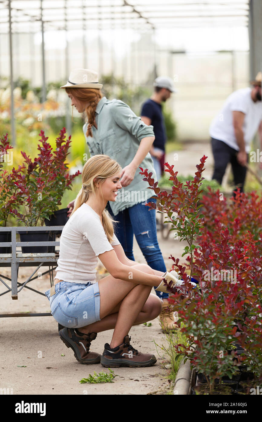 Two young women taking care of plants and flowers in the greenhouse ...