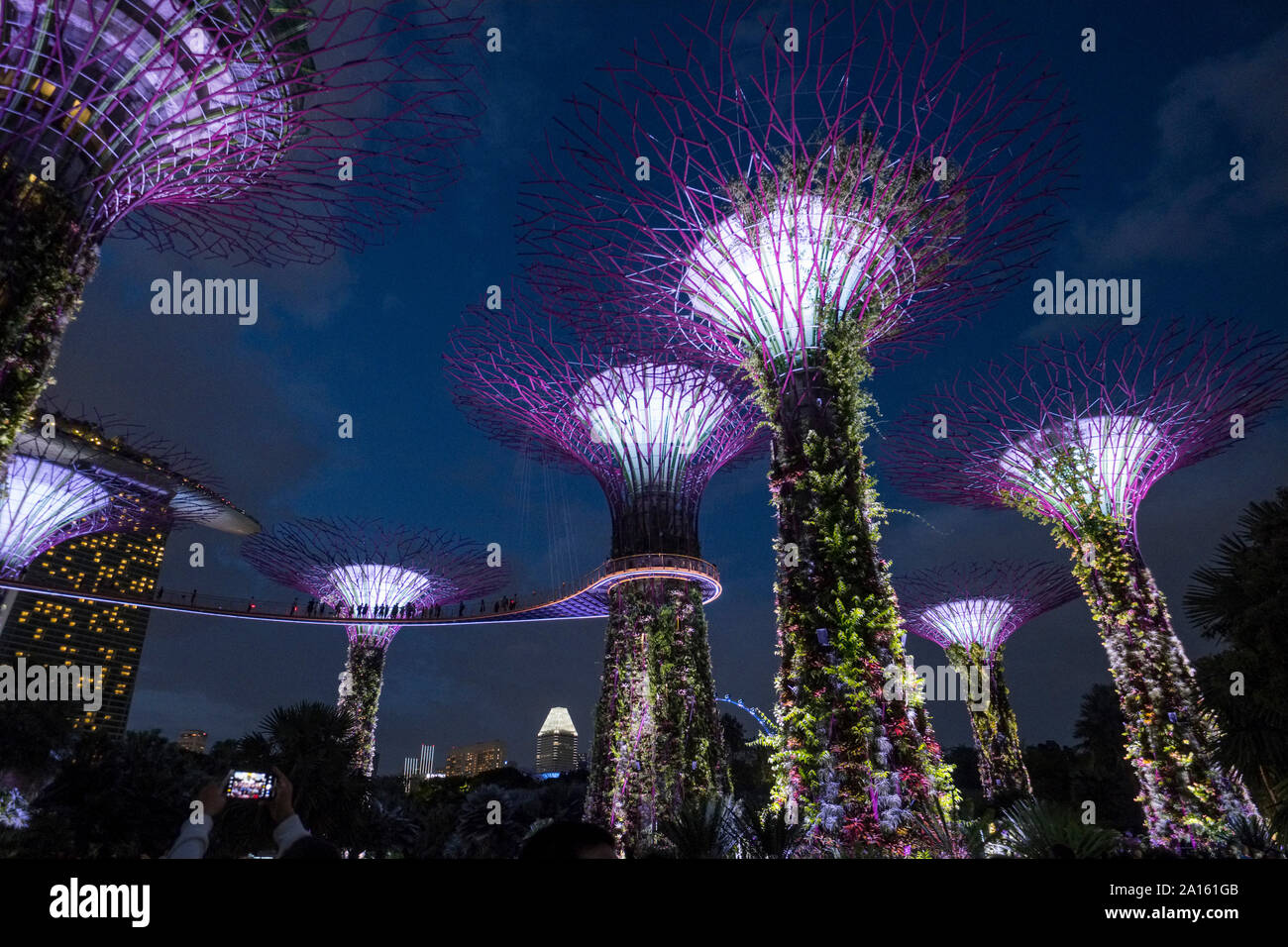 Singapore: night view of supertrees in the Gardens by the Bay (park) Stock Photo