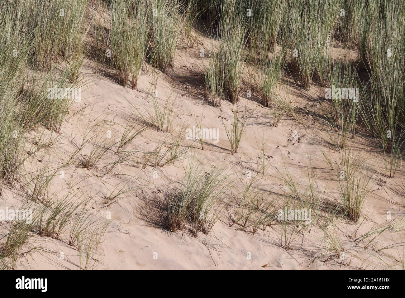 Sand dunes Stock Photo