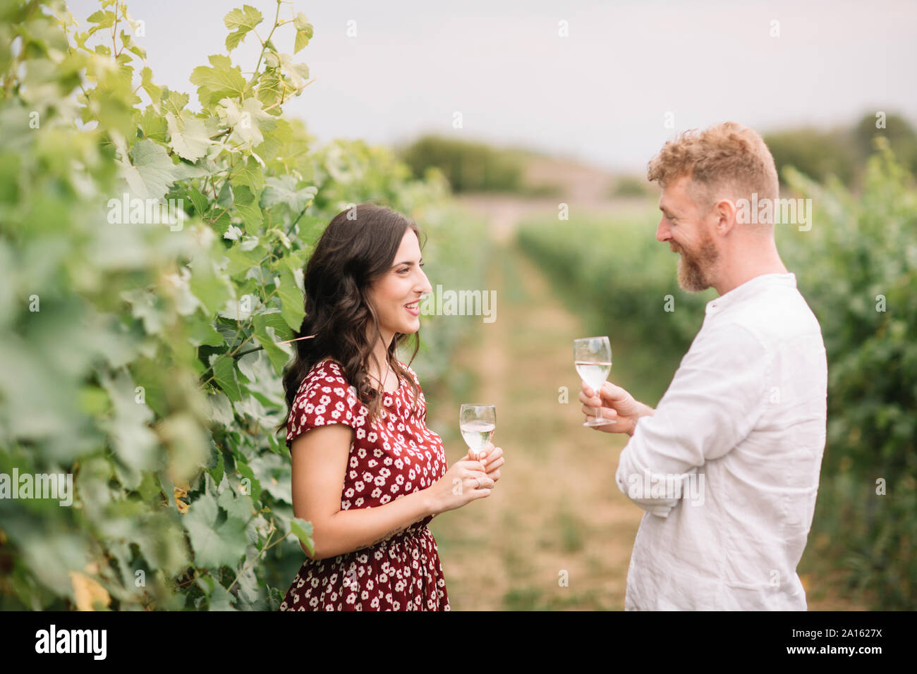 Couple drinking white wine in the vineyards Stock Photo Alamy