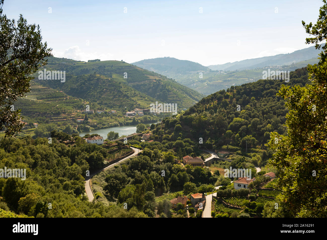 Distant view of vineyards on hill by Duoro river against sky Stock Photo