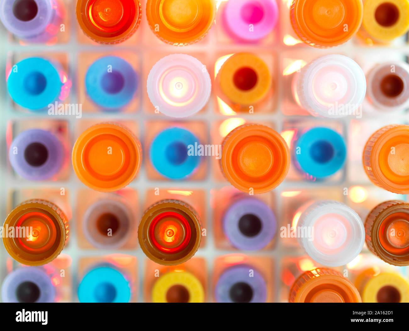 Samples in a tray in a laboratory Stock Photo