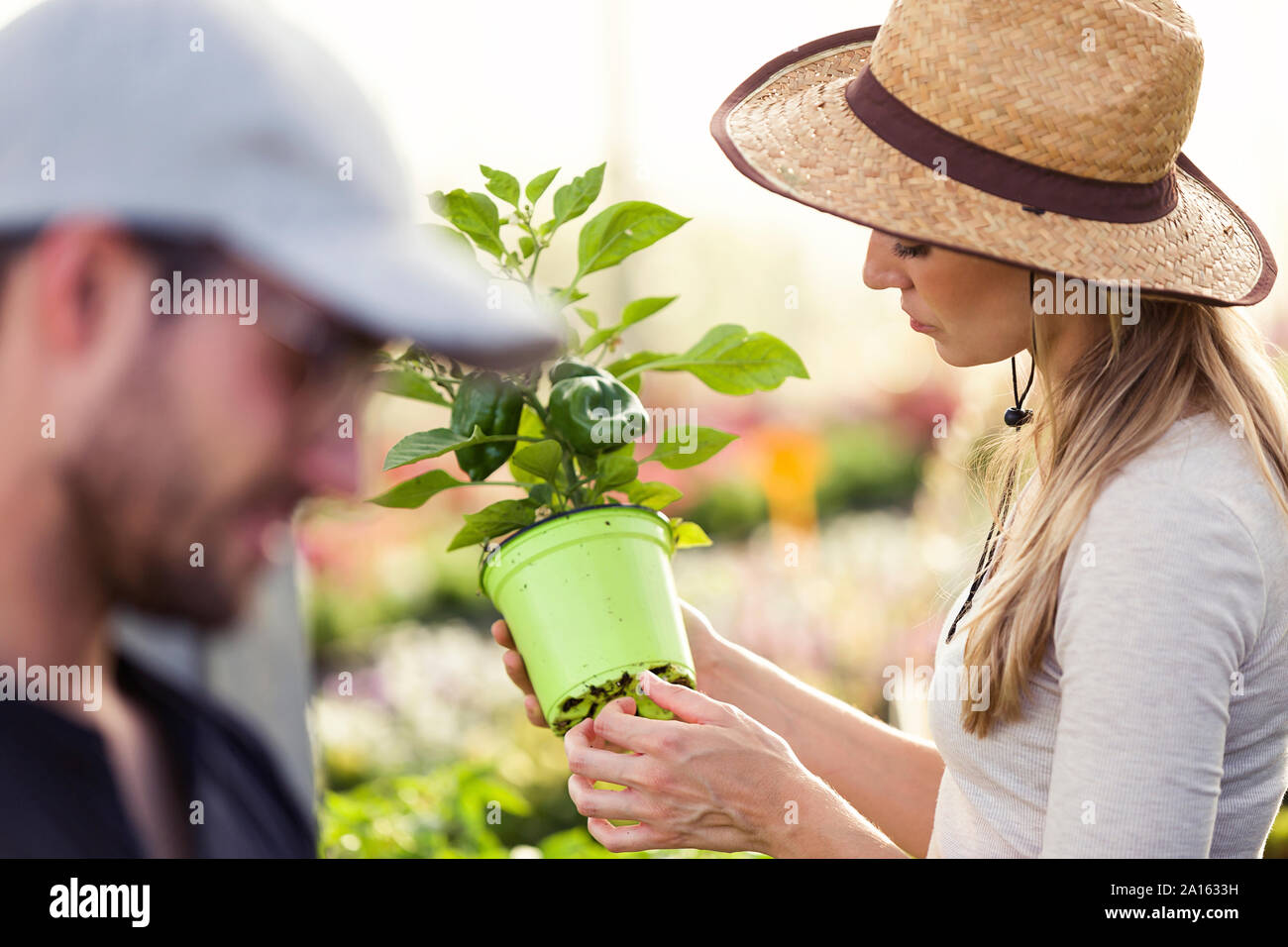 Beautiful young woman taking care of plant in the greenhouse Stock Photo