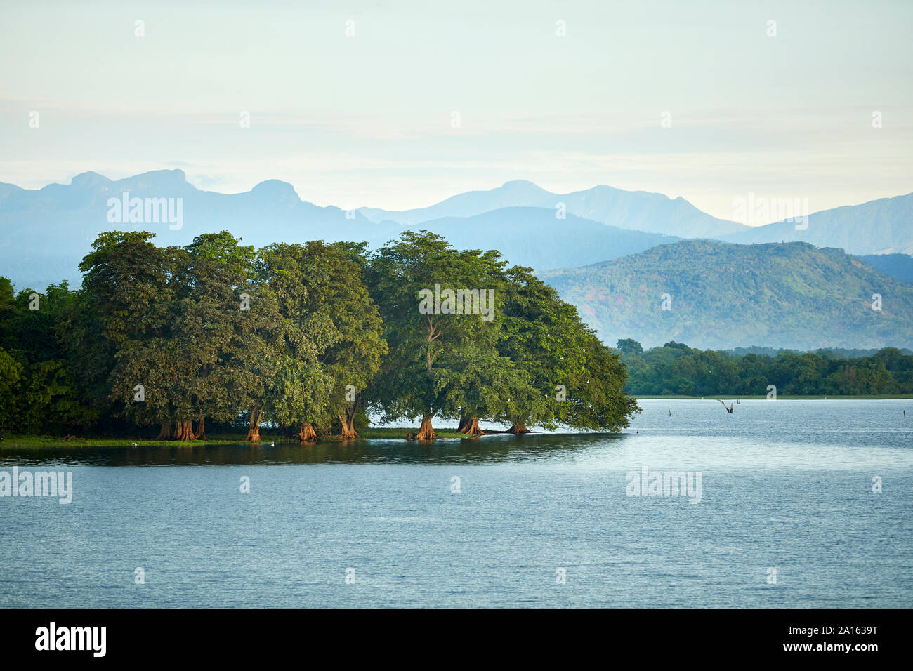 View to penisula at Udawalawe Reservoir, Udawalawa National Park, Sri Lanka Stock Photo