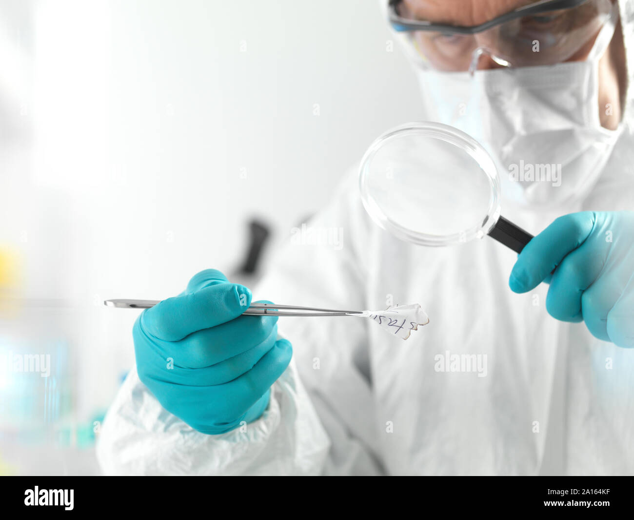 Forensic scientist examining fragments of paper in a laboratory Stock Photo