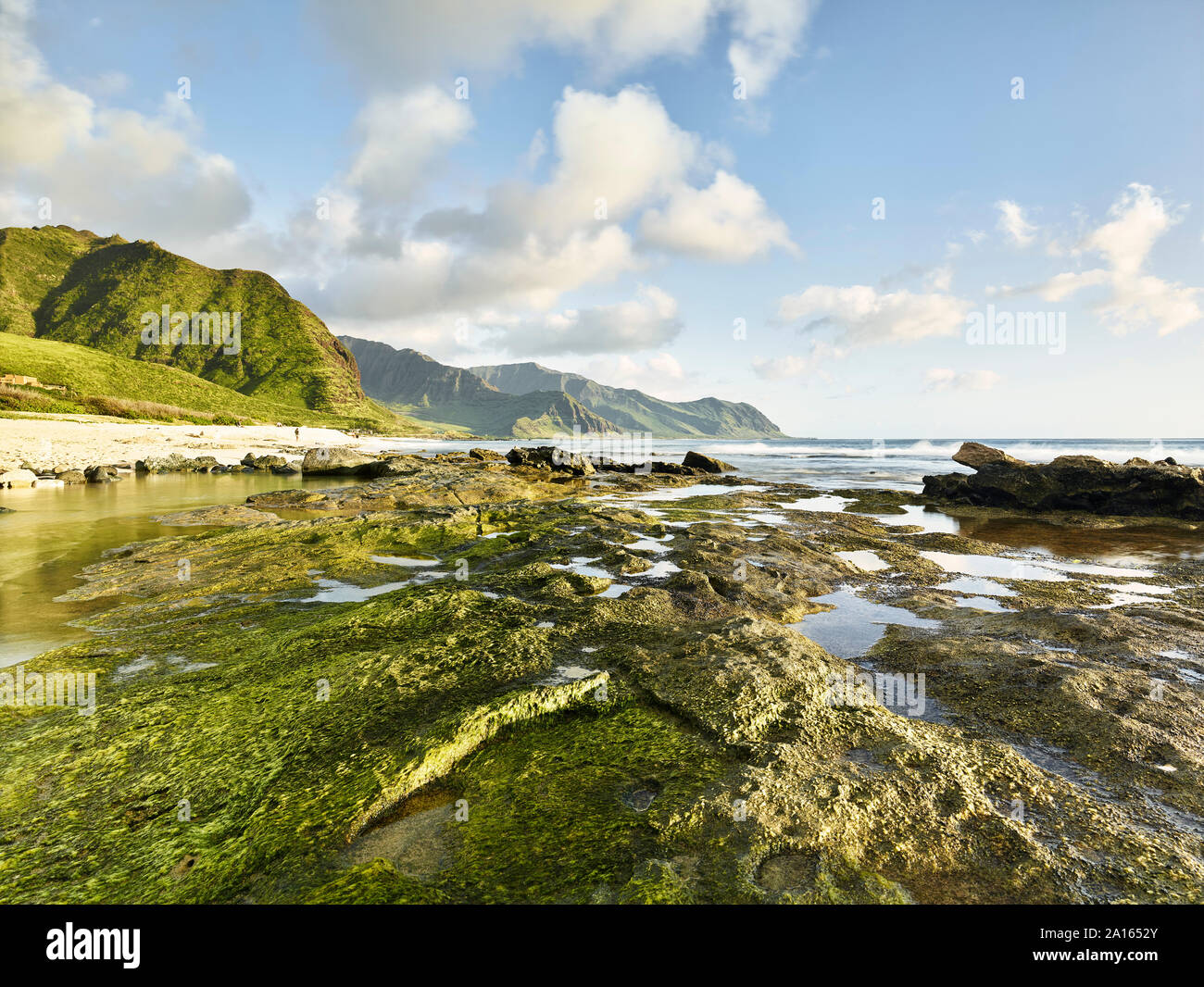Scenic view of rocky shore at beach in Ka'ena Point State Park against sky Stock Photo