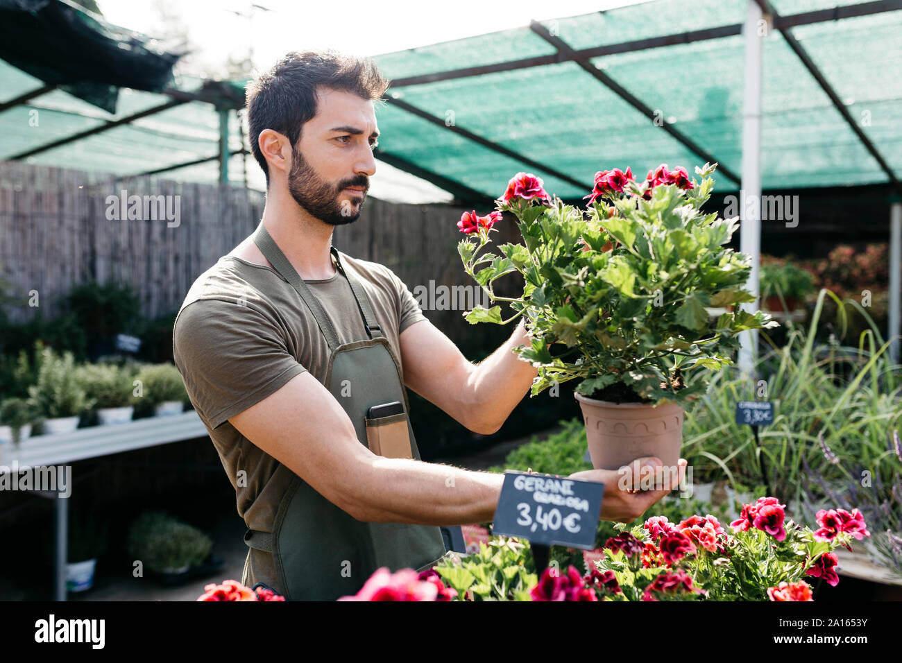 Worker in a garden center caring for a flower Stock Photo