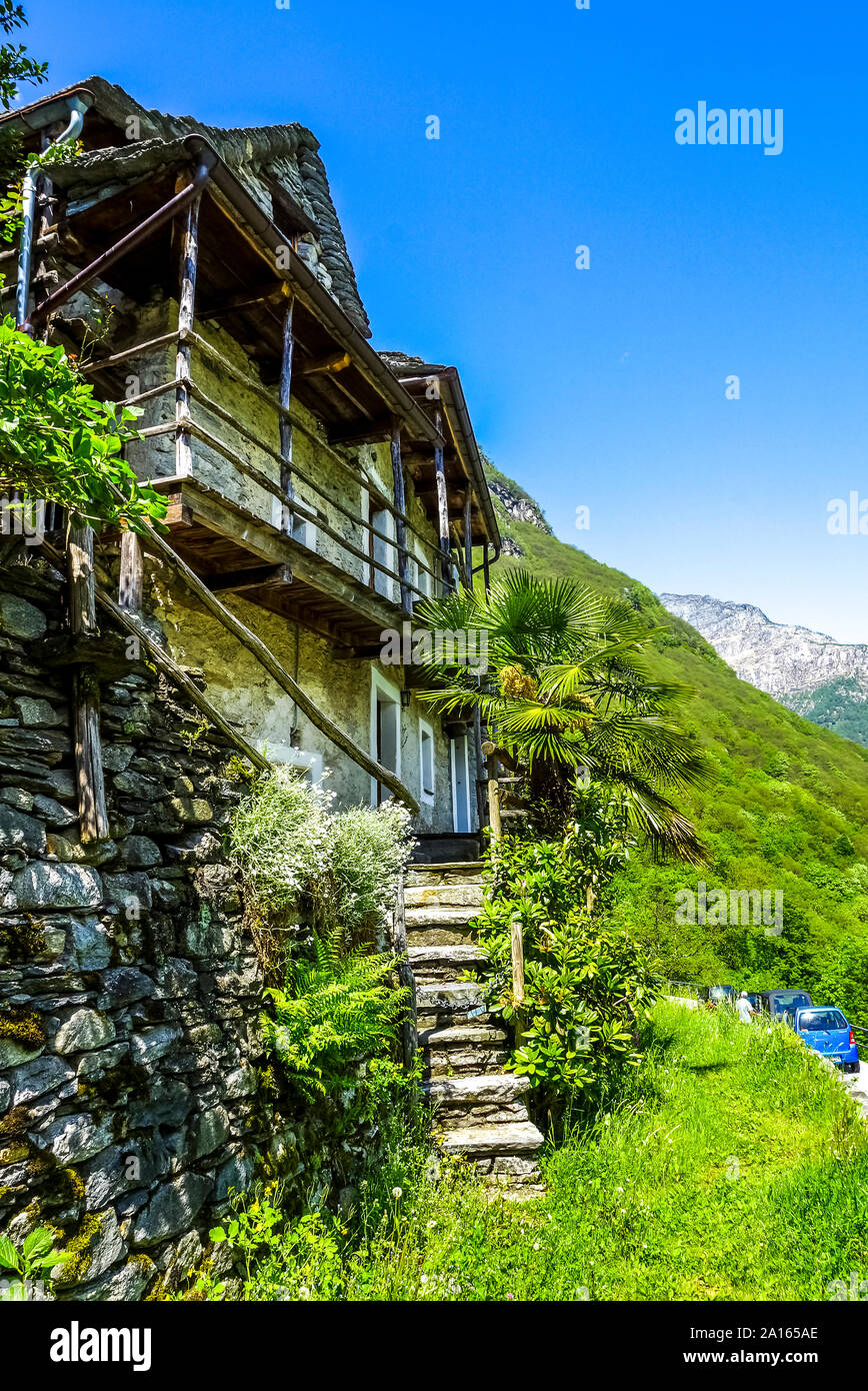 Old-fashioned house by plants against clear blue sky Stock Photo
