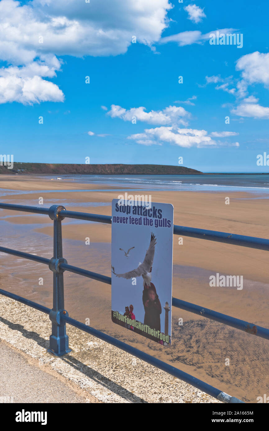 dh Promenade FILEY NORTH YORKSHIRE Do not feed seagulls beach sign seagull problem Stock Photo