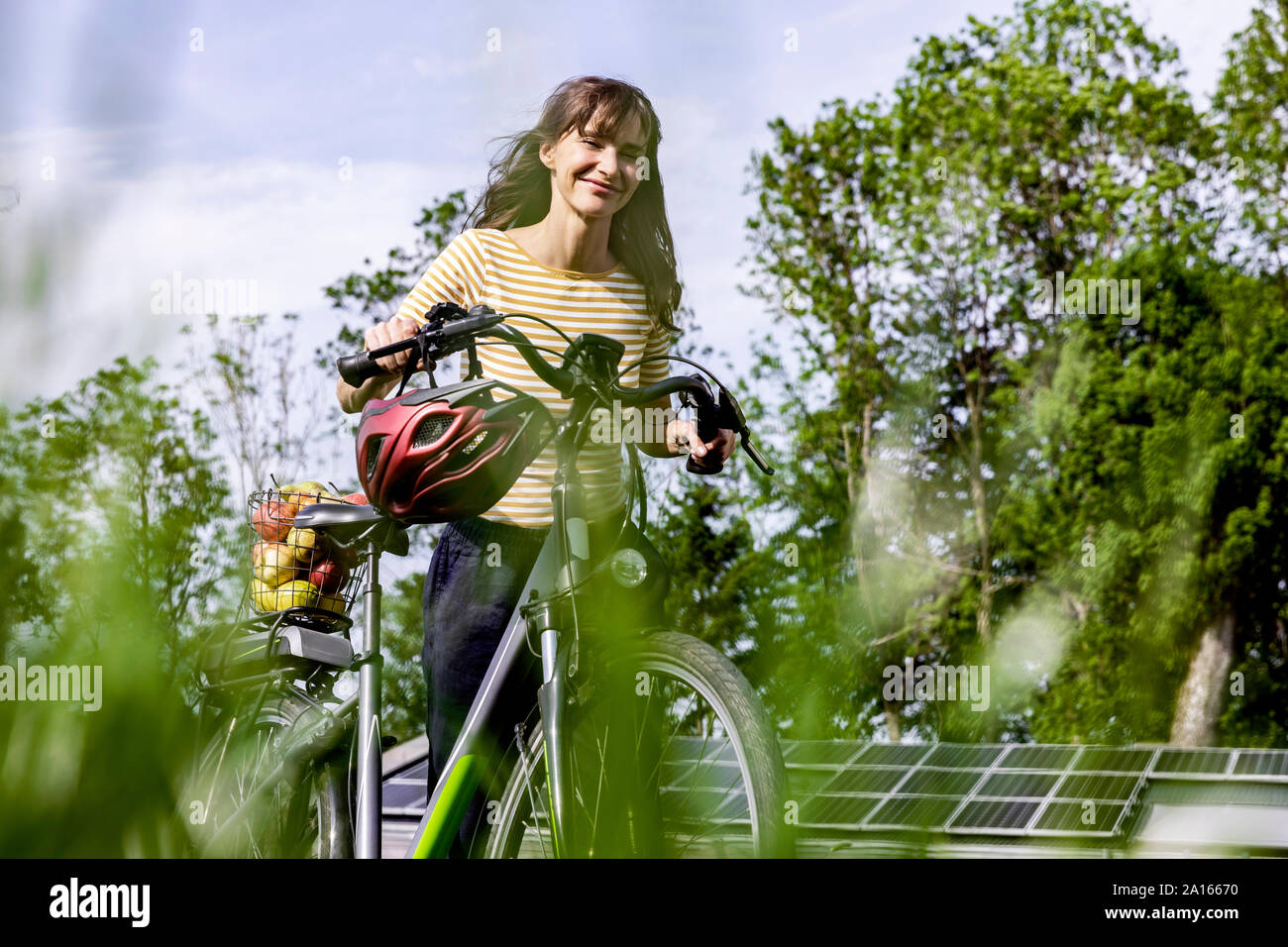Smiling woman pushing bicycle with organic fruit on a meadow Stock Photo